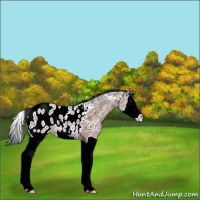 Horse Color:Brown Ice Splash Blanket