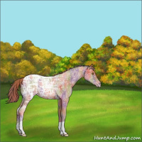 Horse Color:Nacre Gold Champagne Ice 