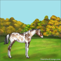 Horse Color:White Spotted Liver Red Onyx Ice Varnish 