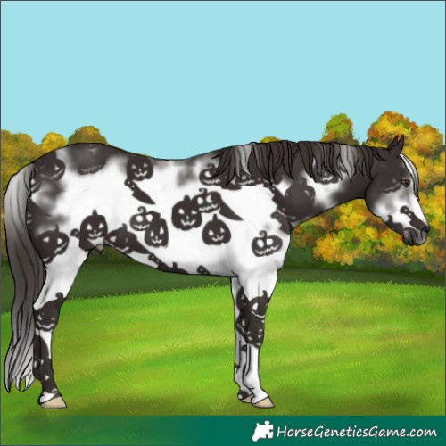 Horse Color:White Spotted Liver Chestnut Frame 