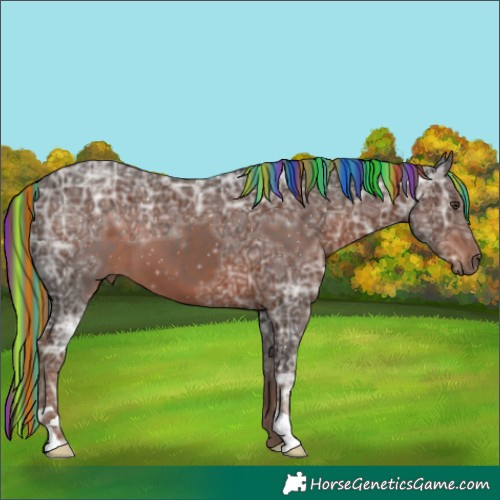Horse Color:Painted Liver Chestnut Ice 
