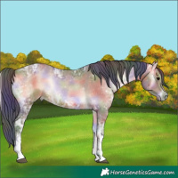 Horse Color:Nacre White Spotted Brown Ice Onyx