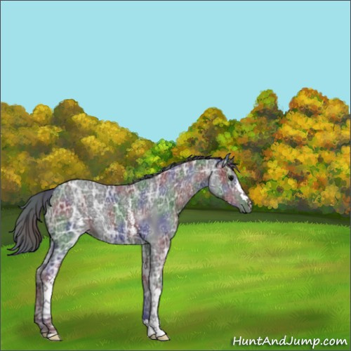 Horse Color:Nacre White Spotted Black Ice