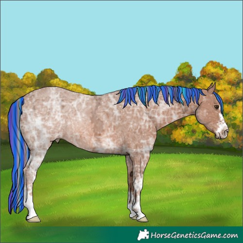 Horse Color:Painted White Spotted Chestnut Ice 