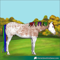 Horse Color:Painted White Spotted Bay Ice Splash