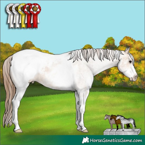 Horse Color:White Spotted Bay Dun Appaloosa Rabicano 