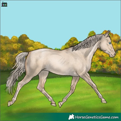 Horse Color:Chocolate Palomino Pearl Dun 