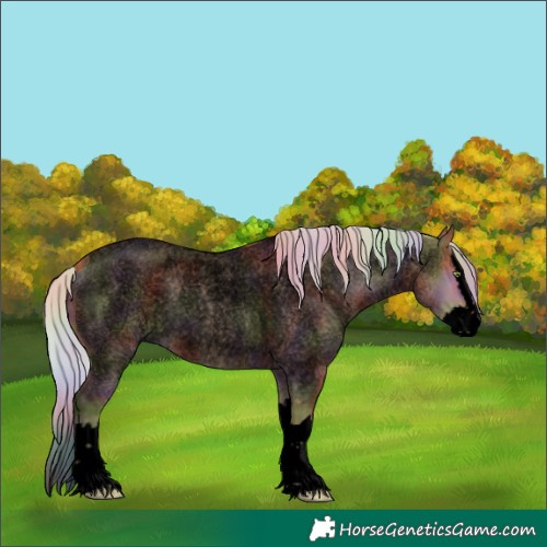 Horse Color:Void Nacre Silver Bay Roan Dun Splash