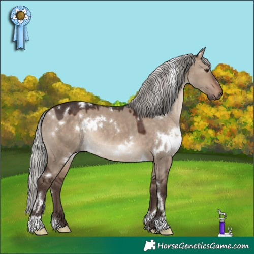 Horse Color:White Spotted Silver Brown Dun Rabicano 