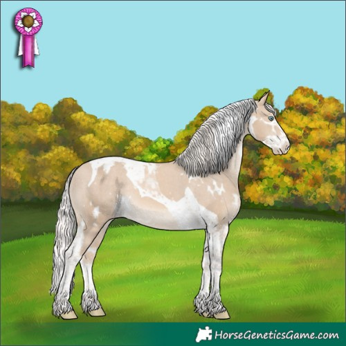Horse Color:White Spotted Cremello Splash Tobiano Appaloosa 