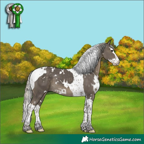 Horse Color:White Spotted Silver Smoky Black Splash Tobiano 