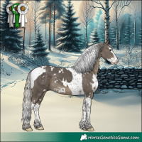 Horse Color:White Spotted Silver Smoky Black Splash Tobiano 