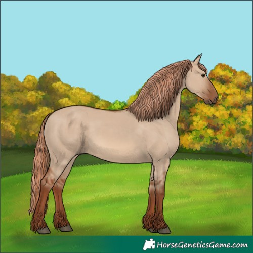 Horse Color:Red Dun 