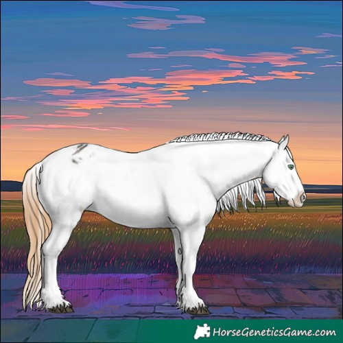Horse Color:Smoky Grullo Varnish