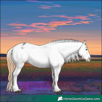 Horse Color:Smoky Grullo Varnish 