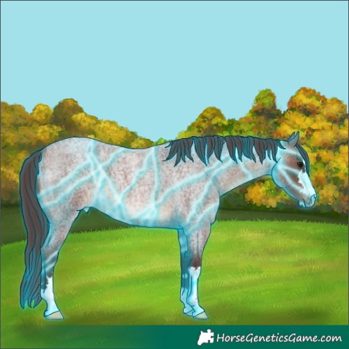 Horse Color:Thunderstruck Chocolate Brown Roan 