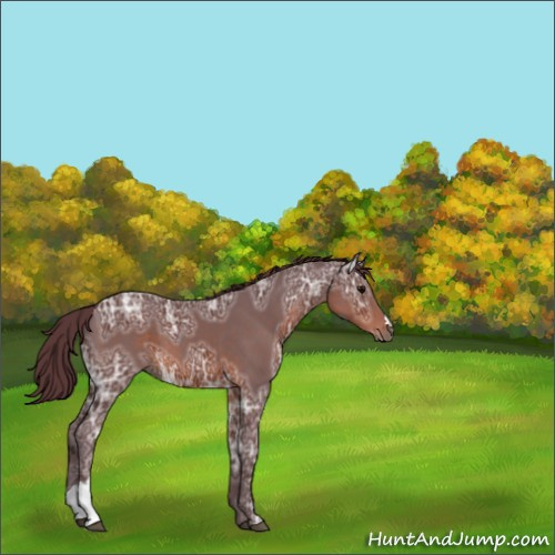 Horse Color:Chocolate Brown Ice 
