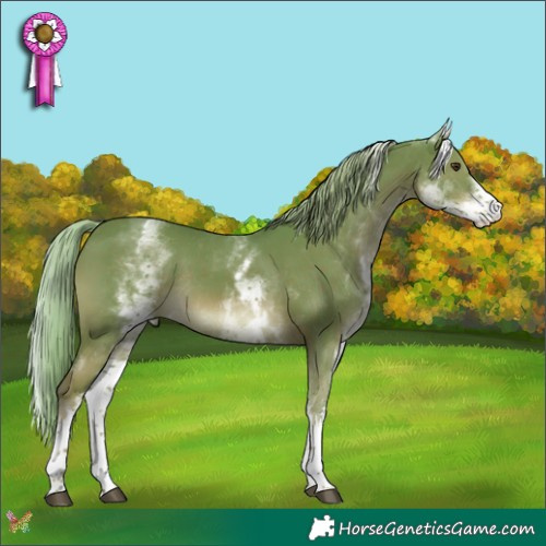 Horse Color:Watercolor White Spotted Chestnut Rabicano 
