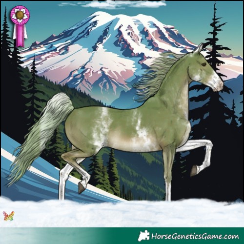 Horse Color:Watercolor White Spotted Chestnut Rabicano 