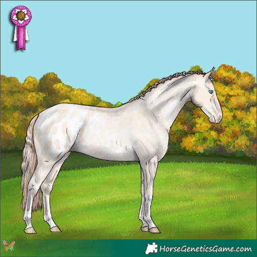 Horse Color:Amber Cream Champagne Pearl Tobiano Blanket