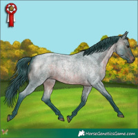 Horse Color:Watercolor Brown Roan 