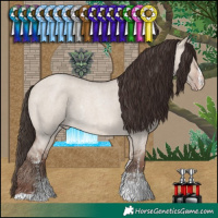 Horse Color:Sable Champagne Roan Dun Sabino