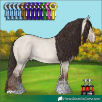 Horse Color:Sable Champagne Roan Dun Sabino 