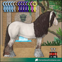 Horse Color:Sable Champagne Roan Dun Sabino