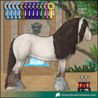 Horse Color:Sable Champagne Roan Dun Sabino