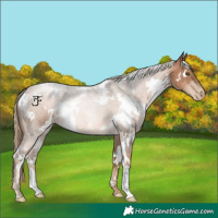 Horse Color:White Spotted Liver Chestnut Pearl