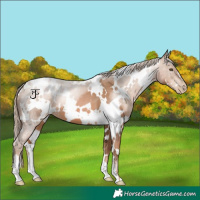 Horse Color:White Spotted Liver Chestnut Pearl 