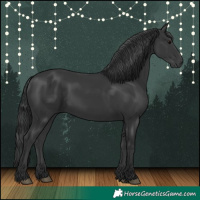 Horse Color:Black 