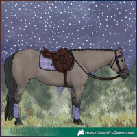 Horse Color:Grullo 
