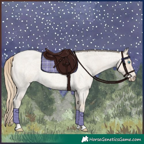 Horse Color:Smoky Creme Roan 