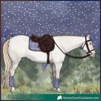 Horse Color:Smoky Creme Roan