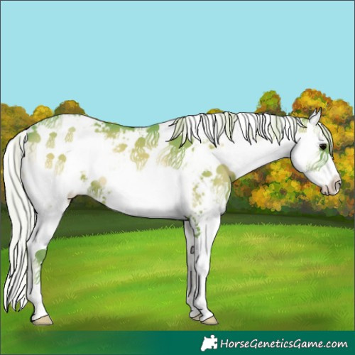 Horse Color:Watercolor Silver Blue Onyx Sabino