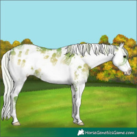 Horse Color:Watercolor Silver Blue Onyx Sabino