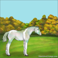 Horse Color:Watercolor Silver Brown Pearl Onyx Sabino Tobiano 