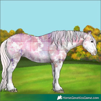 Horse Color:Watercolor Plaid  Silver Blue Onyx Sabino 