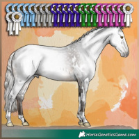 Horse Color:Gray White Spotted Silver Bay Appaloosa