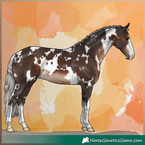 Horse Color:White Spotted Silver Brown