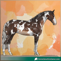 Horse Color:White Spotted Silver Brown