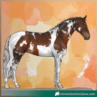 Horse Color:White Spotted Silver Brown Tobiano 