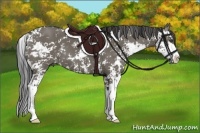 Horse Color:Smoky Grullo Sabino 