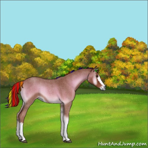 Horse Color:Painted White Spotted Red Onyx Roan 
