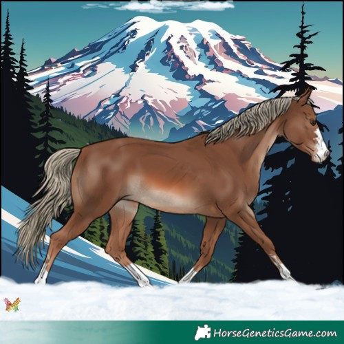Horse Color:Chestnut Mushroom 