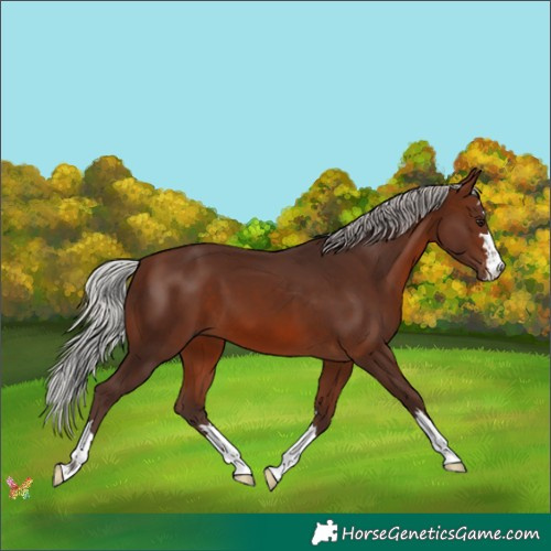 Horse Color:Silver Brown Mushroom 
