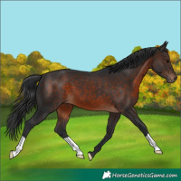 Horse Color:Brown 