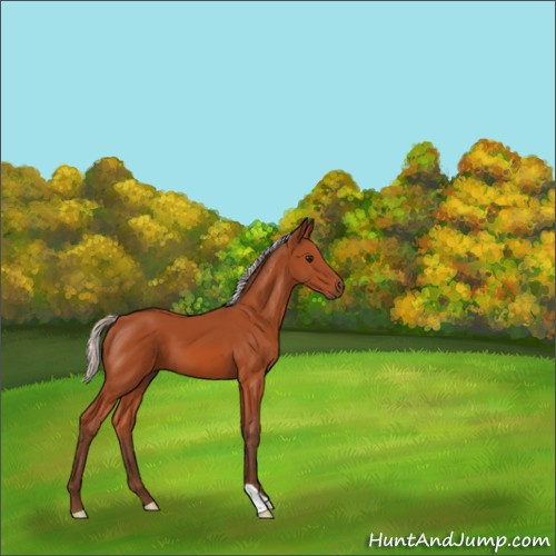 Horse Color:Silver Bay