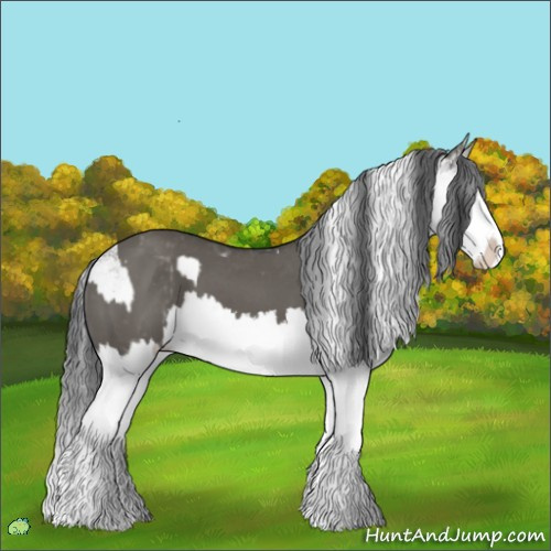 Horse Color:Grullo Sabino Splash  and Grullo Sabino Splash 